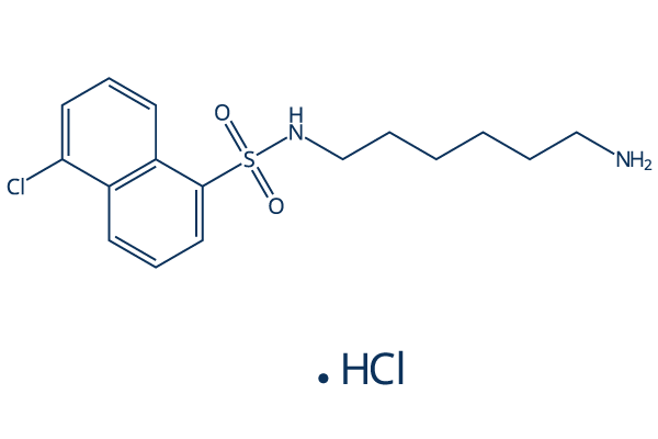 W-7 hydrochloride化学構造