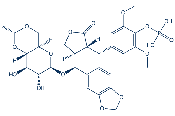 Etoposide phosphate化学構造