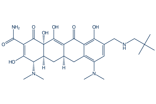 Omadacycline化学構造