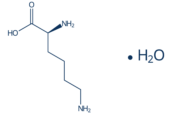 L-Lysine hydrate化学構造