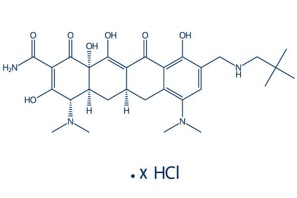 Omadacycline hydrochloride化学構造