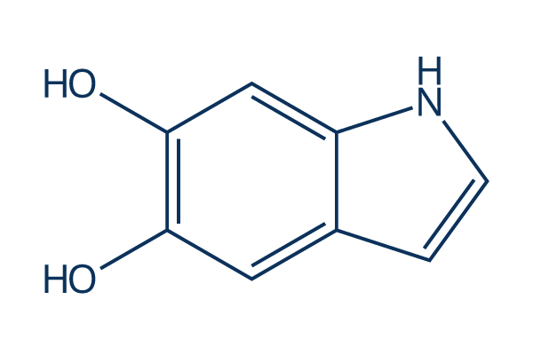 5,6-Dihydroxyindole化学構造