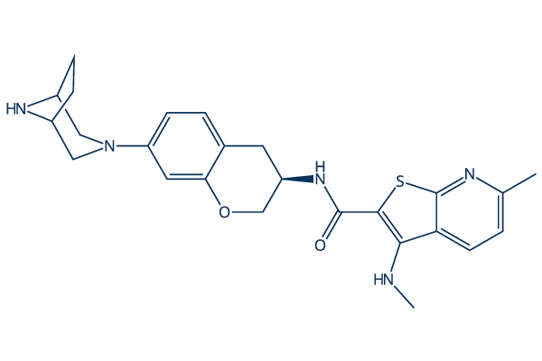 CT1113化学構造