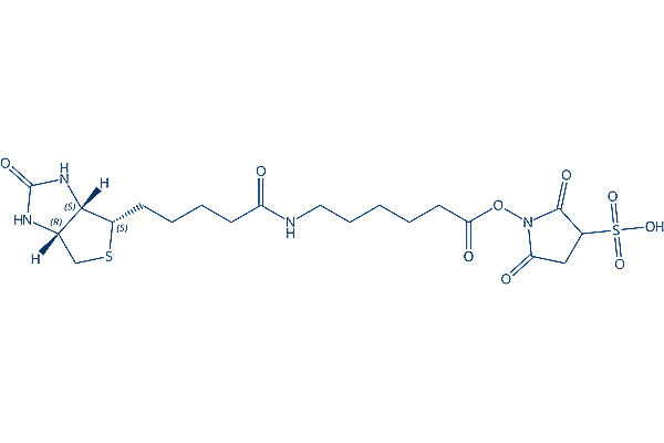 Sulfo-NHS-LC-Biotin sodium化学構造