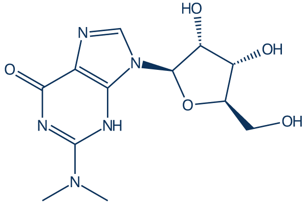 N2,N2-Dimethylguanosine化学構造