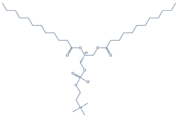 1,2-DLPC化学構造