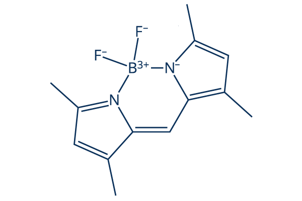 BODIPY 505/515化学構造