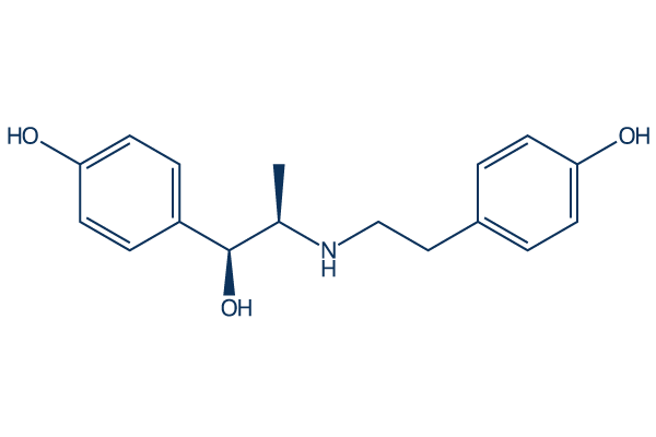 Ritodrine化学構造