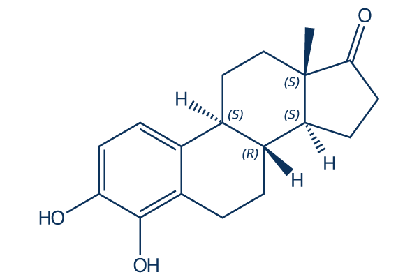4-Hydroxyestrone化学構造
