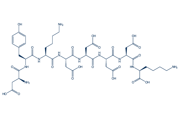 FLAG peptide化学構造