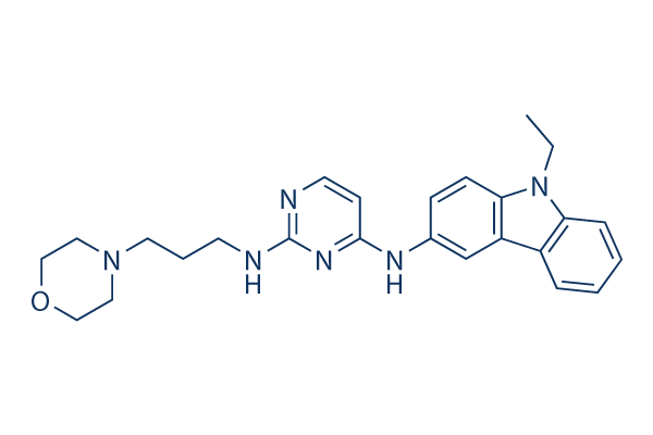 EHop-016 化学構造