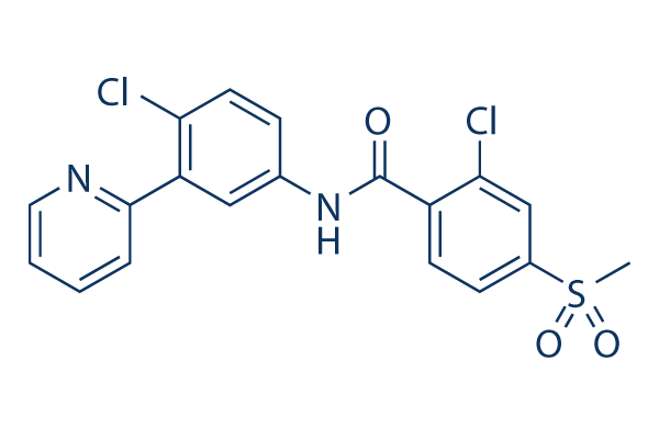 Vismodegib (GDC-0449)化学構造