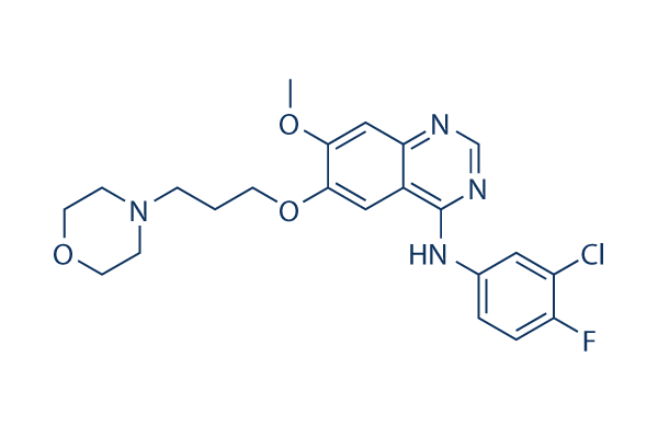 Gefitinib (ZD1839)化学構造