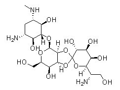 Hygromycin B化学構造