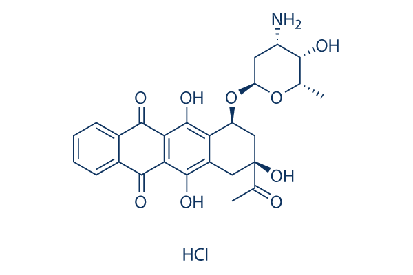Idarubicin HCl化学構造