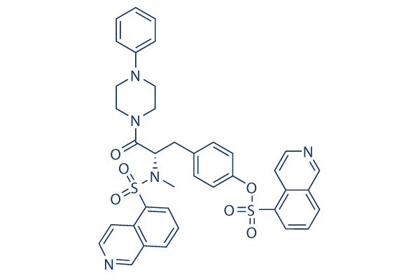 KN-62化学構造