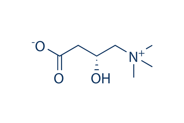 L-carnitine (Levocarnitine)化学構造
