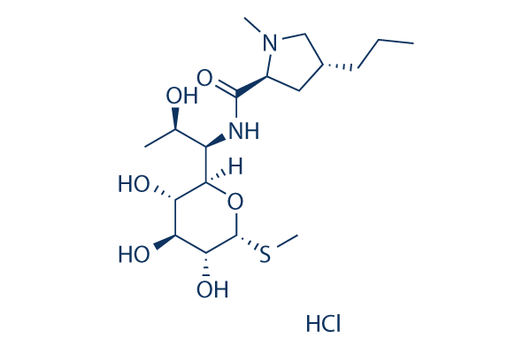 Lincomycin HCl 化学構造