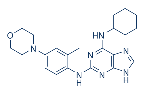 MPI-0479605化学構造