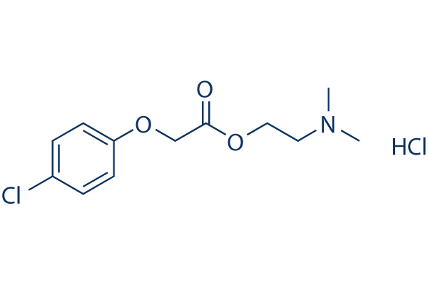 Meclofenoxate (Centrophenoxine) HCl化学構造