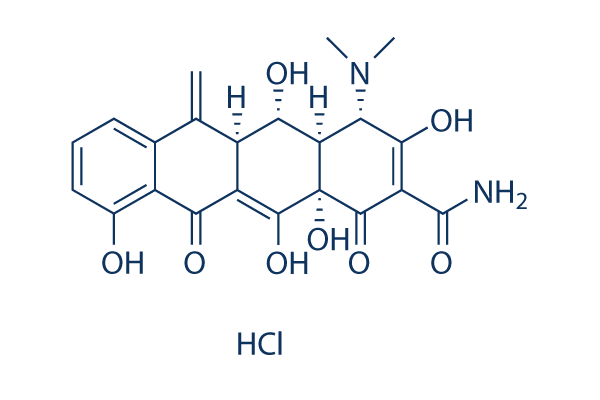 Methacycline HCl化学構造