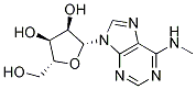 m6A (N6-methyladenosine)化学構造