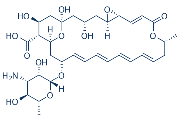 Natamycin 化学構造