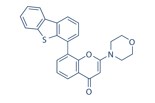 NU7441 (KU-57788) | ≥99%(HPLC) | Selleck | DNA-PK 阻害剤