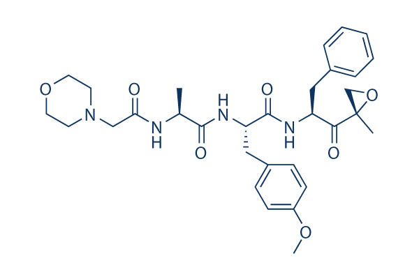 ONX-0914 (PR-957)化学構造