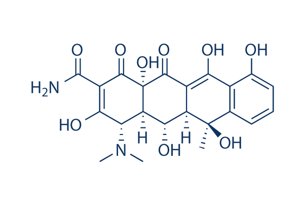Oxytetracycline (Terramycin)化学構造