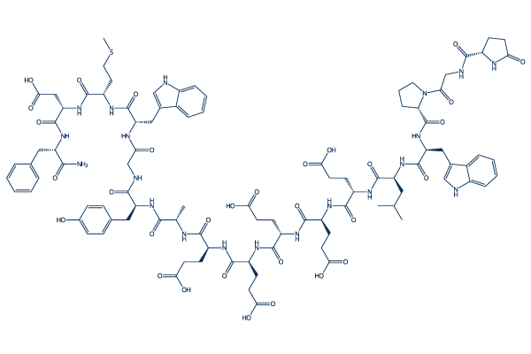 Gastrin I, human化学構造