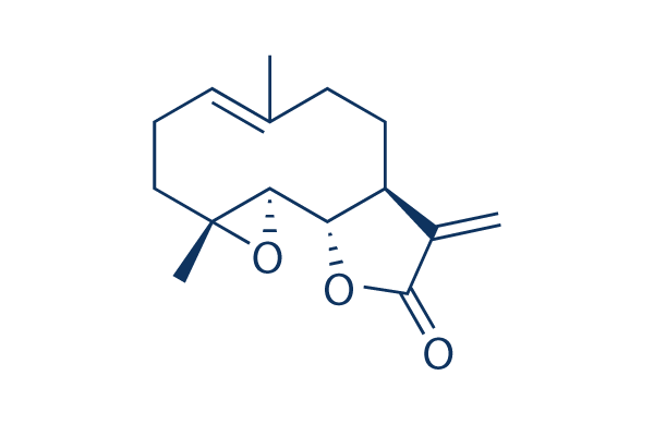 (-)-Parthenolide化学構造