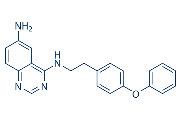 QNZ (EVP4593)化学構造