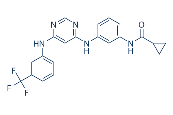 EGFR Inhibitor化学構造
