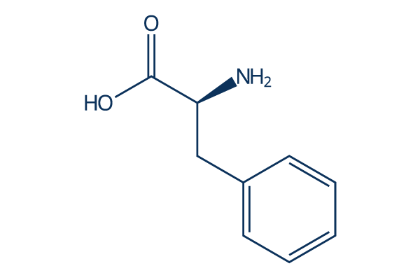 L-Phenylalanine化学構造