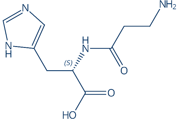 L-carnosine化学構造
