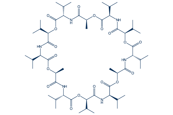 Valinomycin | 多数被引用 | 国内在庫 | Selleck ジャパン