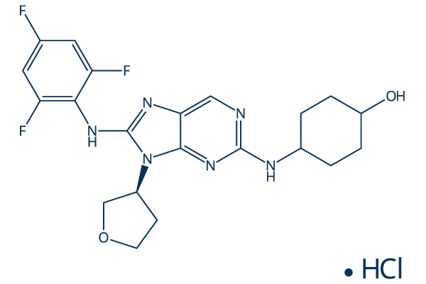 Tanzisertib HCl(CC-930)化学構造