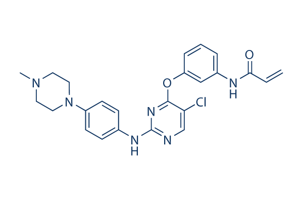 WZ3146化学構造