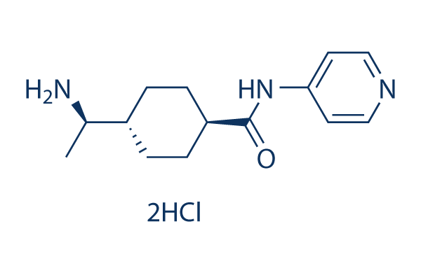 Y-27632 2HCl化学構造