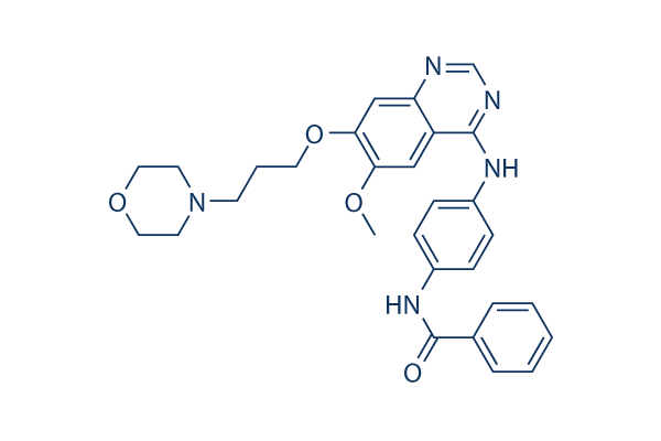 ZM 447439化学構造