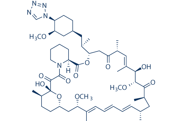Zotarolimus (ABT-578)化学構造