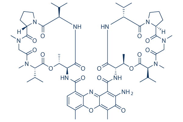 Actinomycin D (Dactinomycin)化学構造