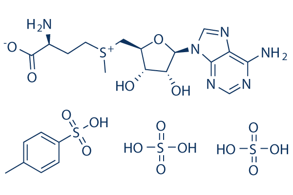 Ademetionine disulfate tosylate化学構造