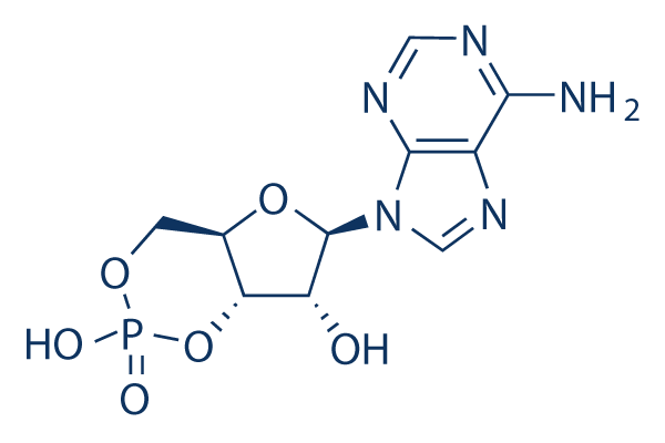 Adenosine Cyclophosphate化学構造