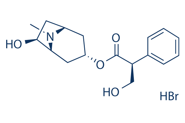 Anisodamine Hydrobromide化学構造