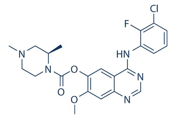 Zorifertinib (AZD3759)化学構造