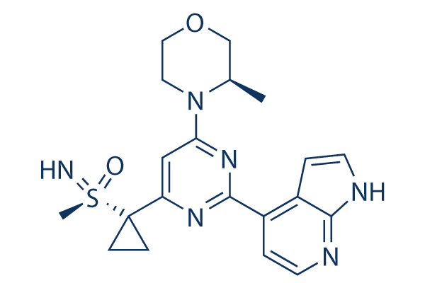 Ceralasertib (AZD6738)化学構造