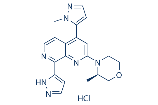 Elimusertib (BAY-1895344) hydrochloride化学構造