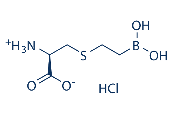 BEC HCl化学構造